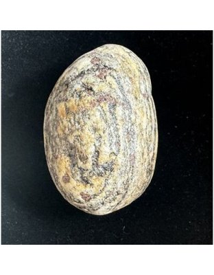 Adittiya_Golden_Yogi_Basistamahavishnu_Shaligram