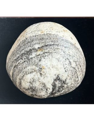 Kailashshiromani_Mahalakshmi_Vishnu_Shaligram