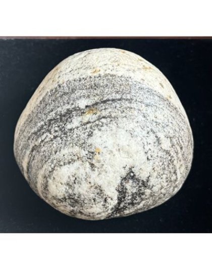 Kailashshiromani_Mahalakshmi_Vishnu_Shaligram