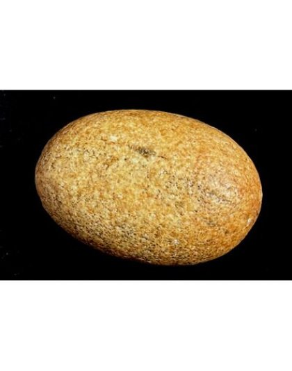 dhishankara_Mahavishnu