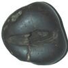 Latest Kali Gandaki Shaligram Stones