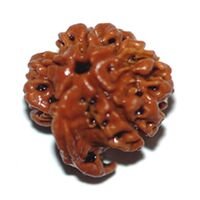 Ganesh Rudraksha