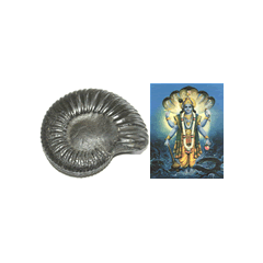 Shree Hari Shaligram