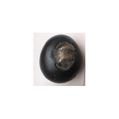 Shree Golden Dhanurdhari Arjuna Shaligram