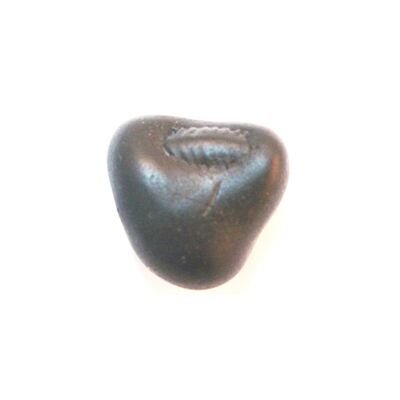 Shree Vamana Shaligram