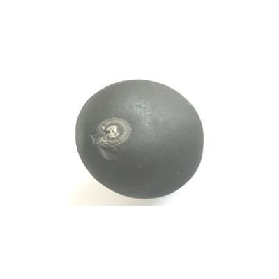 Shree Krishna Shaligram