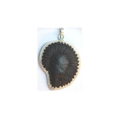 Shree Satya narayan Shaligram Pendant