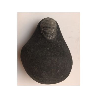 Shree kailashmanosarovar Shivanetra Shaligram