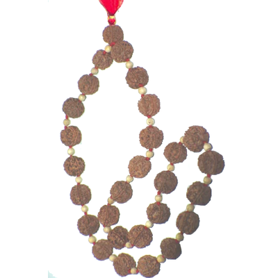 Seven mukhi rudraksha rosary