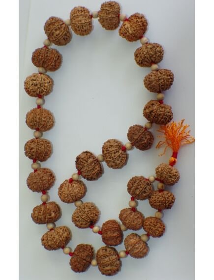 nine mukhi rosary