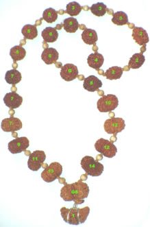 Sri Sampurna Faldayak Mala